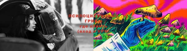 ешки Пестово