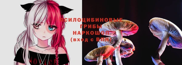 а пвп мука Нестеровская