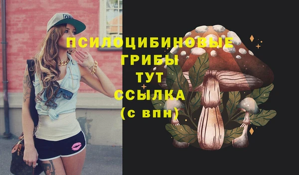 ешки Пестово