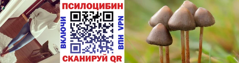 наркотики  Семёнов  Псилоцибиновые грибы мицелий 