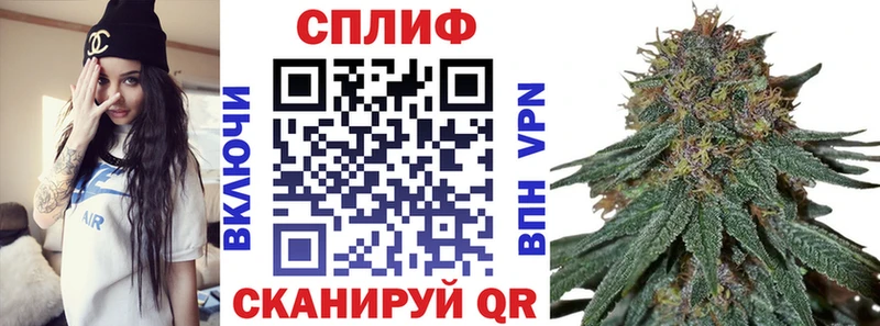 shop формула Семёнов Канабис ГИДРОПОН